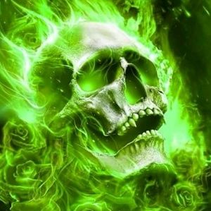 Meet your Posher, Ericka